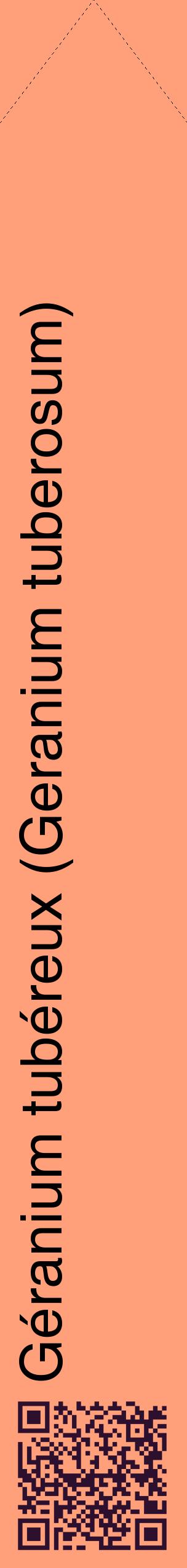 Étiquette de : Geranium tuberosum - format c - style noire39_simplehel avec qrcode et comestibilité