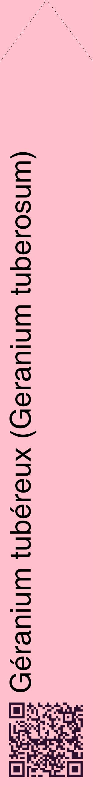 Étiquette de : Geranium tuberosum - format c - style noire40_simplehel avec qrcode et comestibilité