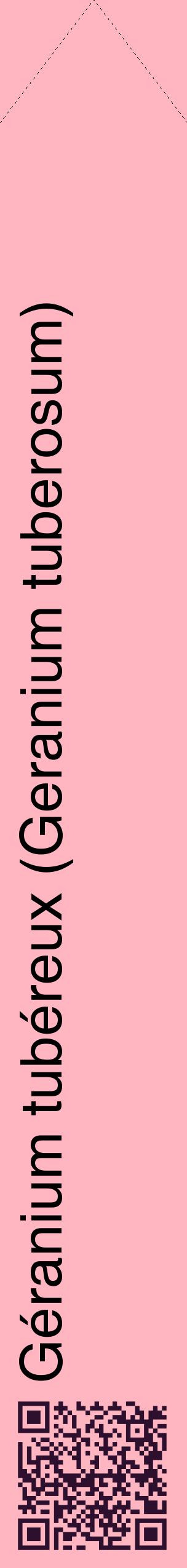 Étiquette de : Geranium tuberosum - format c - style noire41_simplehel avec qrcode et comestibilité