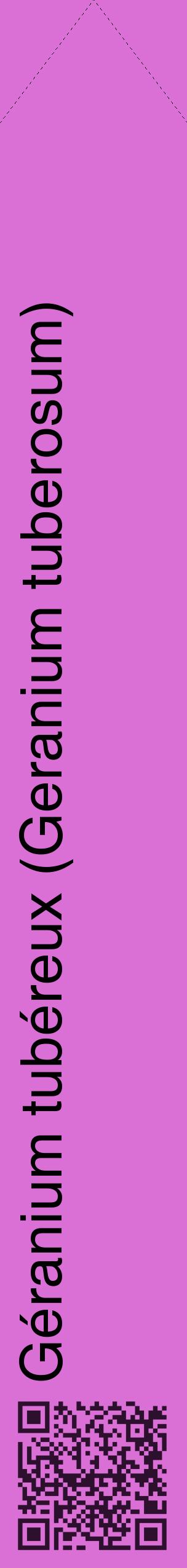 Étiquette de : Geranium tuberosum - format c - style noire52_simplehel avec qrcode et comestibilité