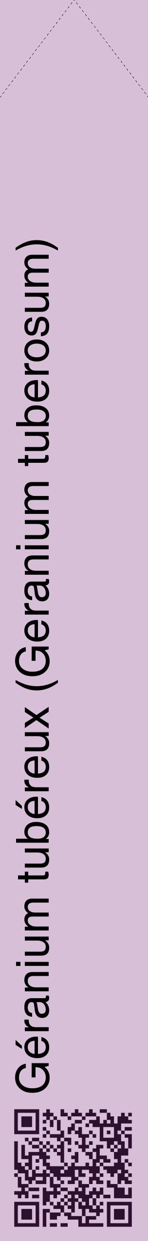 Étiquette de : Geranium tuberosum - format c - style noire54_simplehel avec qrcode et comestibilité
