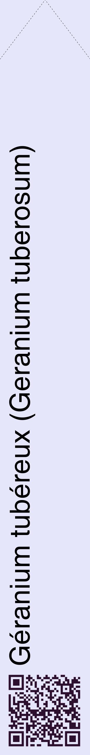 Étiquette de : Geranium tuberosum - format c - style noire55_simplehel avec qrcode et comestibilité