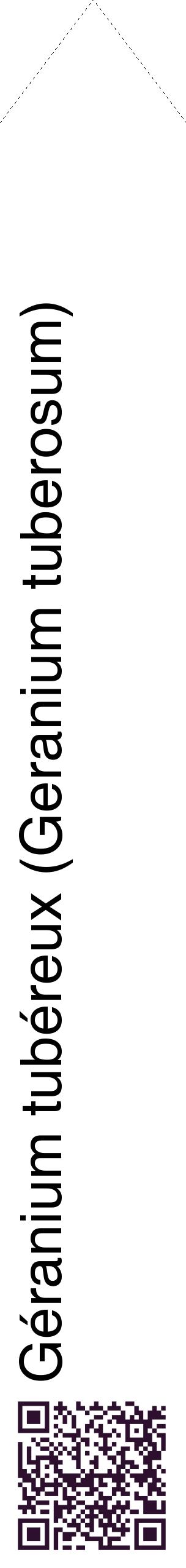 Étiquette de : Geranium tuberosum - format c - style noire60_simplehel avec qrcode et comestibilité