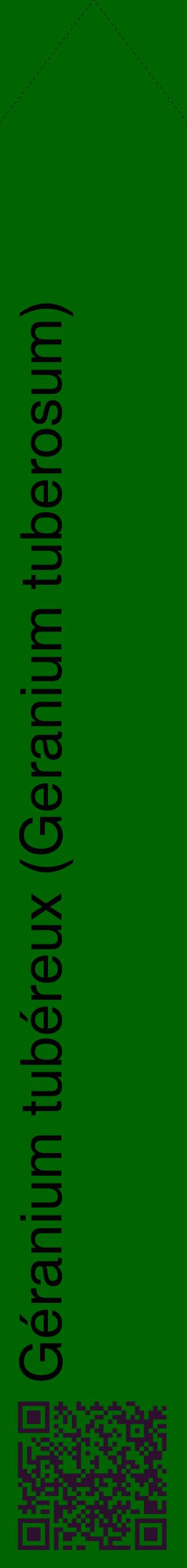 Étiquette de : Geranium tuberosum - format c - style noire8_simplehel avec qrcode et comestibilité