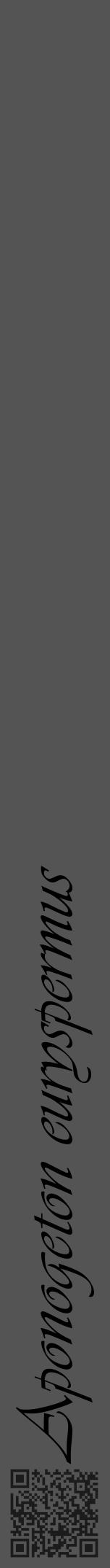 Étiquette de : Aponogeton euryspermus - format a - style noire30viv avec qrcode et comestibilité - position verticale