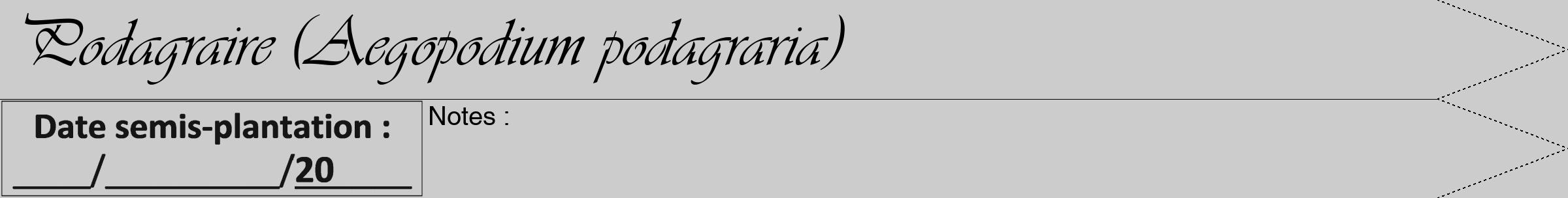Étiquette de : Aegopodium podagraria - format b - style noire0viv avec comestibilité