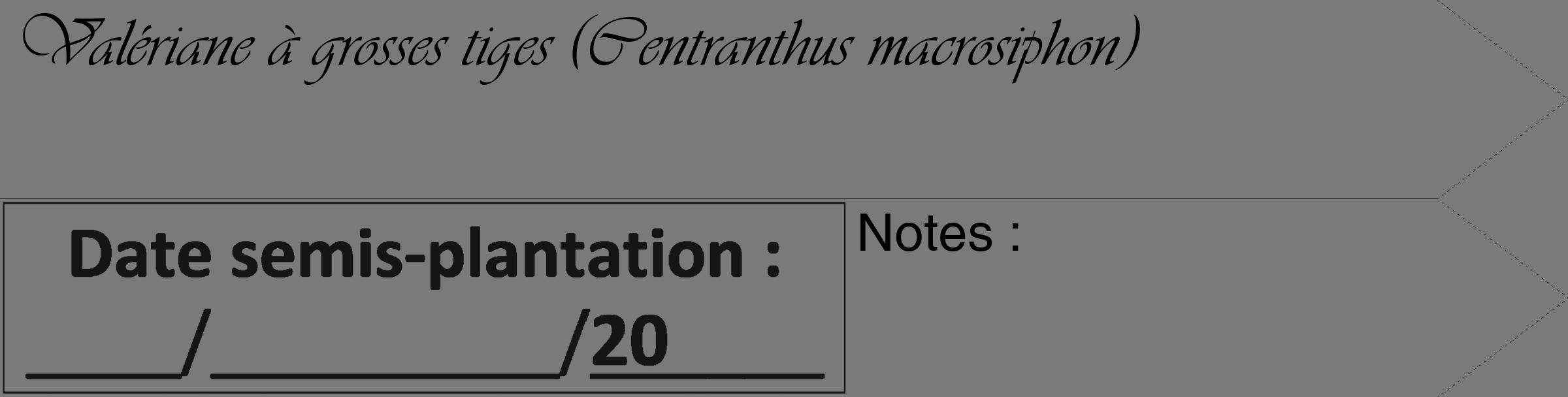 Étiquette de : Centranthus macrosiphon - format c - style noire3_simple_simpleviv avec comestibilité