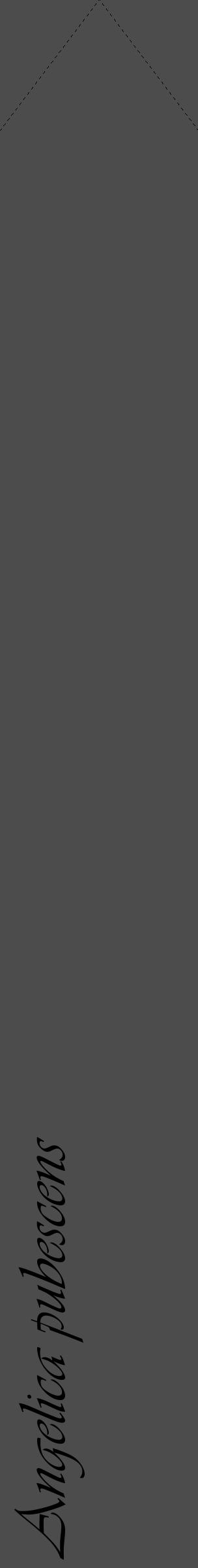 Étiquette de : Angelica pubescens - format c - style noire27_simple_simpleviv avec comestibilité - position verticale