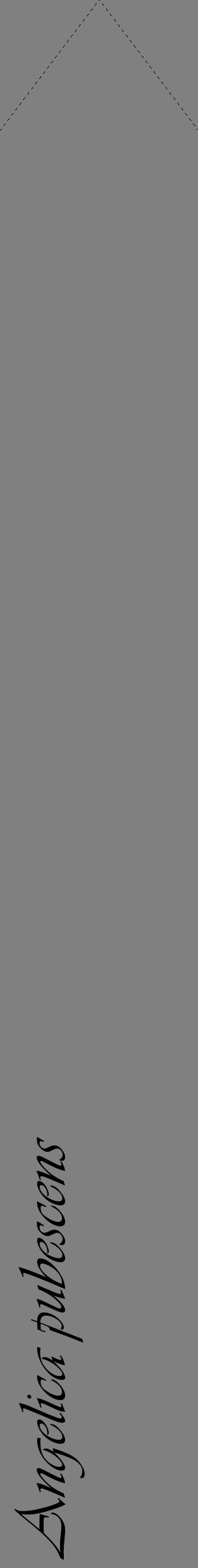 Étiquette de : Angelica pubescens - format c - style noire57_simpleviv avec comestibilité