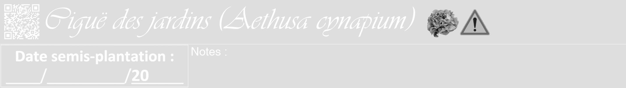 Étiquette de : Aethusa cynapium - format a - style blanche20viv avec qrcode et comestibilité simplifiée