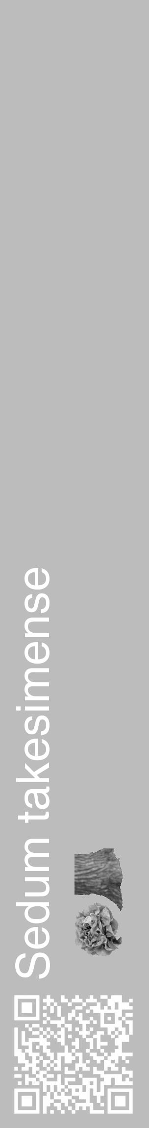 Étiquette de : Sedum takesimense - format c - style blanche1_basique_basiquehel avec qrcode et comestibilité simplifiée - position verticale