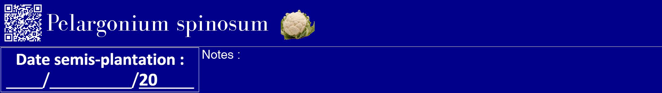 Étiquette de : Pelargonium spinosum - format a - style blanche7bod avec qrcode et comestibilité simplifiée