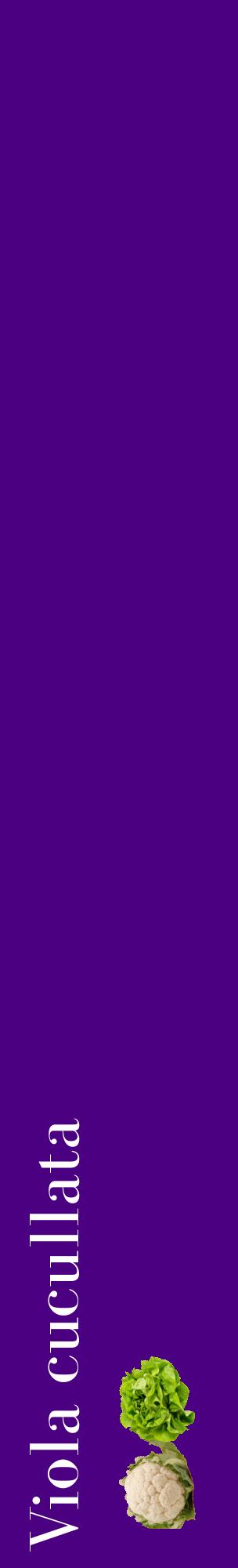 Étiquette de : Viola cucullata - format c - style blanche47_basiquebod avec comestibilité simplifiée