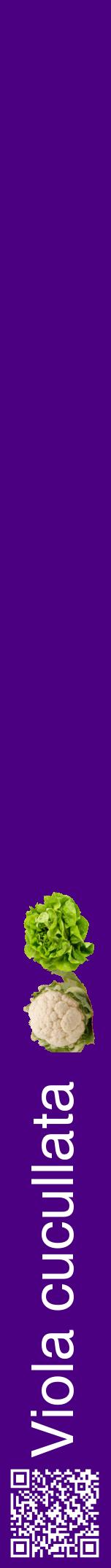 Étiquette de : Viola cucullata - format a - style blanche47hel avec qrcode et comestibilité simplifiée
