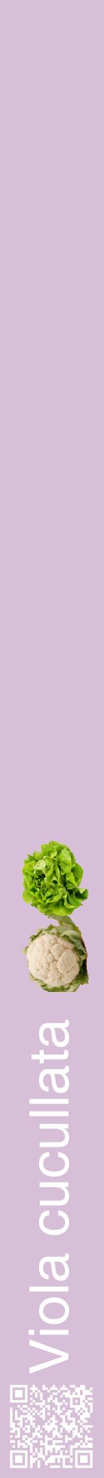Étiquette de : Viola cucullata - format a - style blanche54hel avec qrcode et comestibilité simplifiée