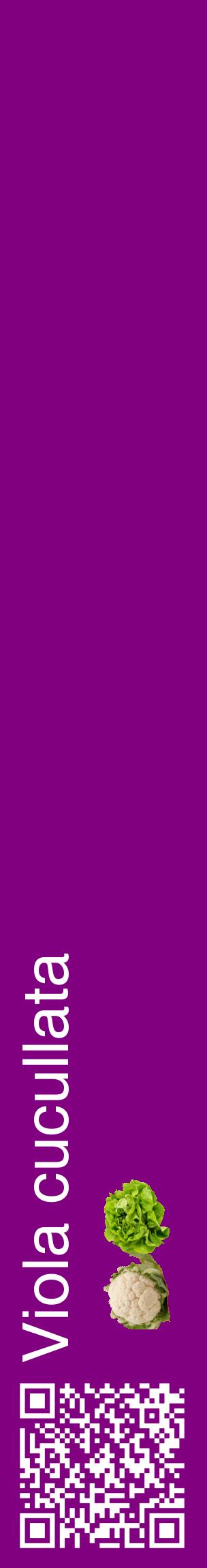 Étiquette de : Viola cucullata - format c - style blanche46_basiquehel avec qrcode et comestibilité simplifiée