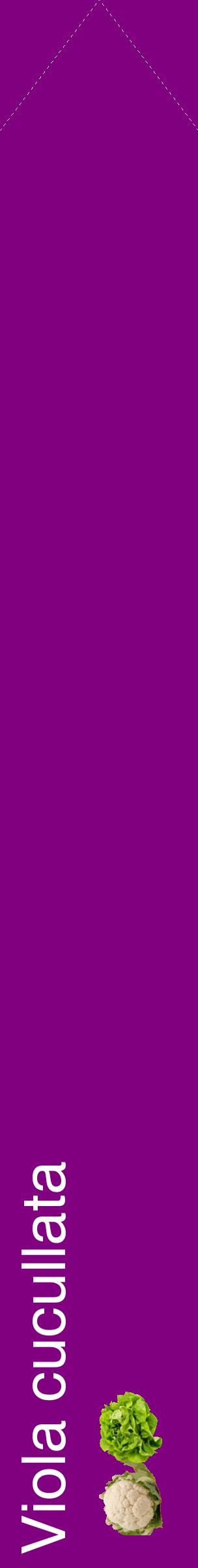 Étiquette de : Viola cucullata - format c - style blanche46_simplehel avec comestibilité simplifiée