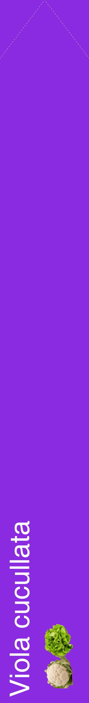 Étiquette de : Viola cucullata - format c - style blanche49_simplehel avec comestibilité simplifiée
