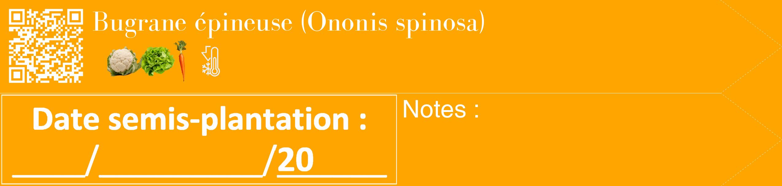 Étiquette de : Ononis spinosa - format c - style blanche22_simple_simplebod avec qrcode et comestibilité simplifiée