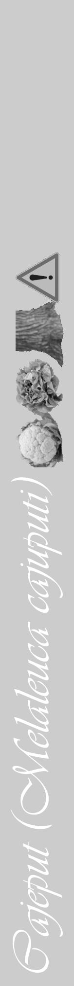 Étiquette de : Melaleuca cajuputi - format a - style blanche0viv avec comestibilité simplifiée - position verticale