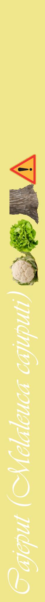 Étiquette de : Melaleuca cajuputi - format a - style blanche20viv avec comestibilité simplifiée
