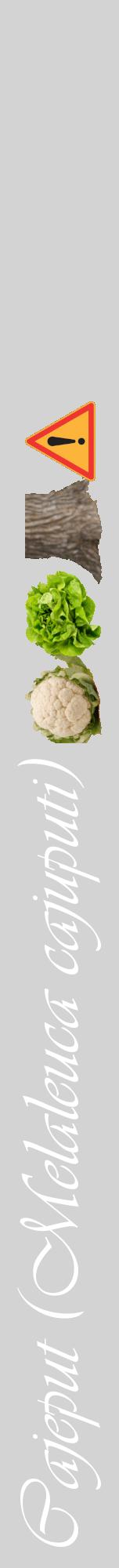 Étiquette de : Melaleuca cajuputi - format a - style blanche56viv avec comestibilité simplifiée