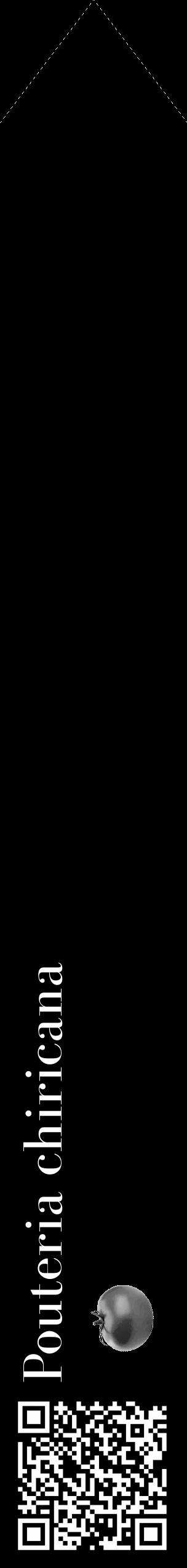 Étiquette de : Pouteria chiricana - format c - style blanche59_simple_simplebod avec qrcode et comestibilité simplifiée - position verticale