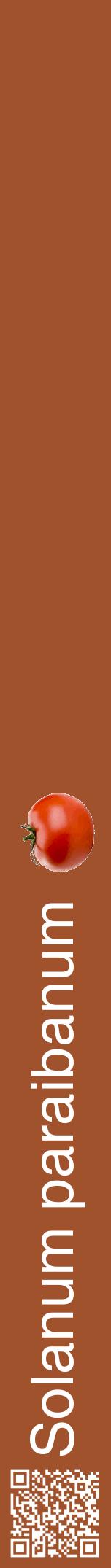 Étiquette de : Solanum paraibanum - format a - style blanche32hel avec qrcode et comestibilité simplifiée