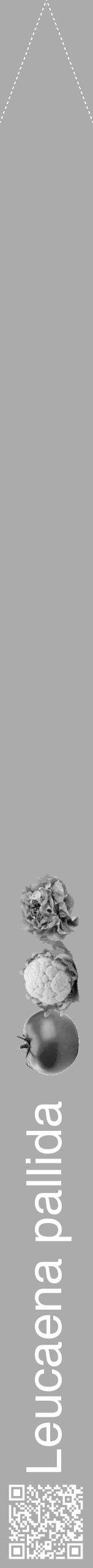 Étiquette de : Leucaena pallida - format b - style blanche37hel avec qrcode et comestibilité simplifiée - position verticale
