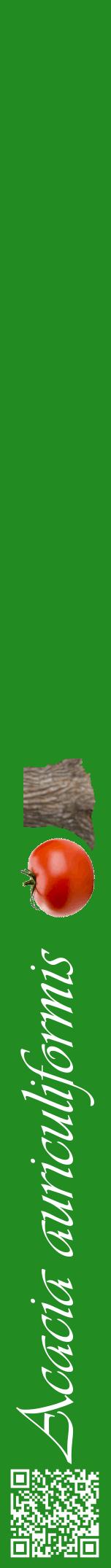 Étiquette de : Acacia auriculiformis - format a - style blanche10viv avec qrcode et comestibilité simplifiée
