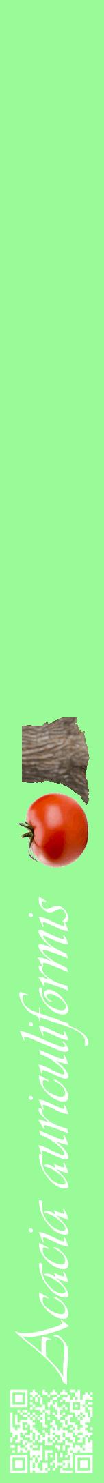Étiquette de : Acacia auriculiformis - format a - style blanche14viv avec qrcode et comestibilité simplifiée