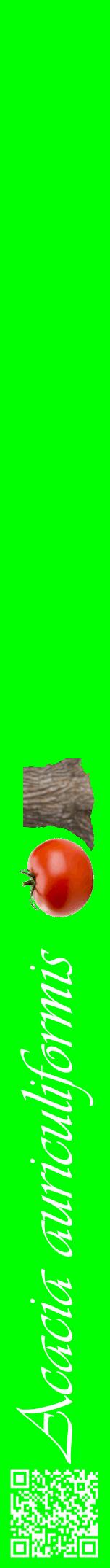 Étiquette de : Acacia auriculiformis - format a - style blanche16viv avec qrcode et comestibilité simplifiée