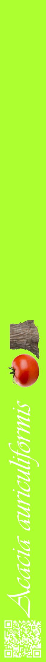 Étiquette de : Acacia auriculiformis - format a - style blanche17viv avec qrcode et comestibilité simplifiée