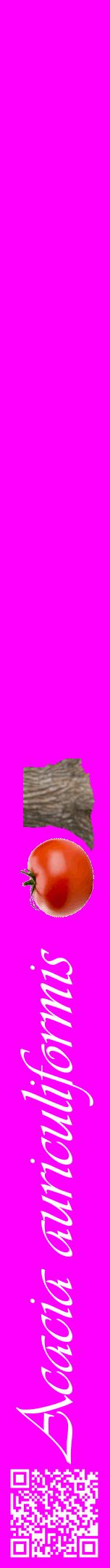 Étiquette de : Acacia auriculiformis - format a - style blanche51viv avec qrcode et comestibilité simplifiée