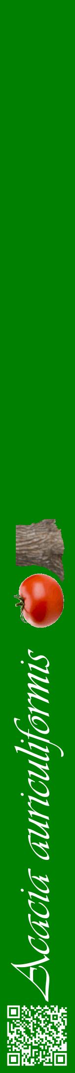 Étiquette de : Acacia auriculiformis - format a - style blanche9viv avec qrcode et comestibilité simplifiée