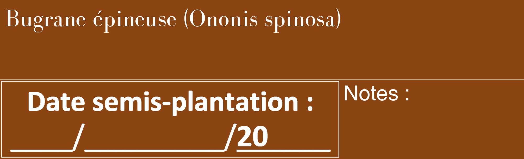 Étiquette de : Ononis spinosa - format c - style blanche30_basique_basiquebod avec comestibilité