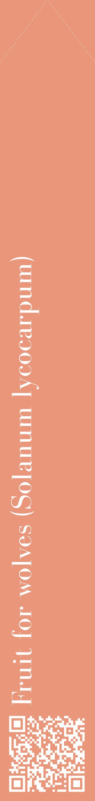 Étiquette de : Solanum lycocarpum - format c - style blanche37_simplebod avec qrcode et comestibilité
