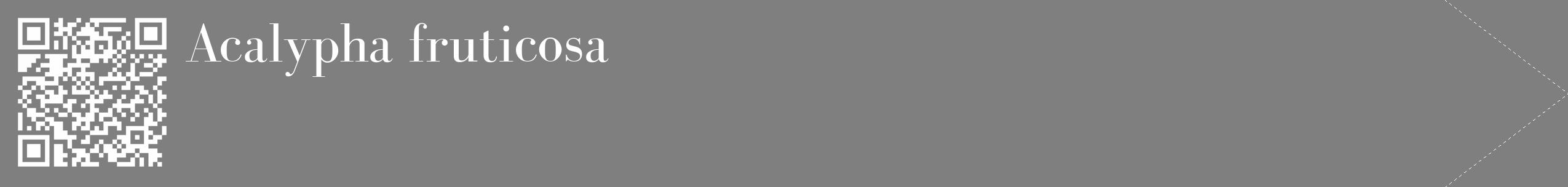 Étiquette de : Acalypha fruticosa - format c - style blanche31_simple_simplebod avec qrcode et comestibilité