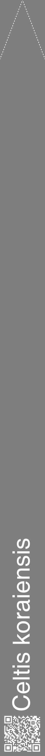 Étiquette de : Celtis koraiensis - format b - style blanche31hel avec qrcode et comestibilité - position verticale