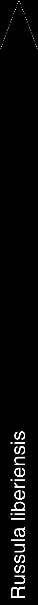 Étiquette de : Russula liberiensis - format b - style blanche59hel avec comestibilité