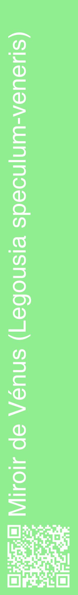 Étiquette de : Legousia speculum-veneris - format c - style blanche15_basiquehel avec qrcode et comestibilité