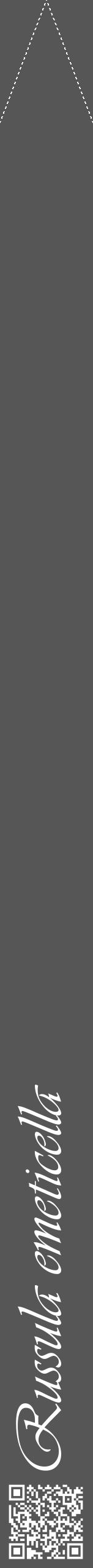 Étiquette de : Russula emeticella - format b - style blanche45viv avec qrcode et comestibilité - position verticale