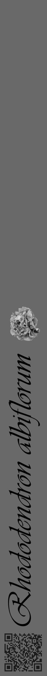 Étiquette de : Rhododendron albiflorum - format a - style noire51viv avec qrcode et comestibilité simplifiée - position verticale