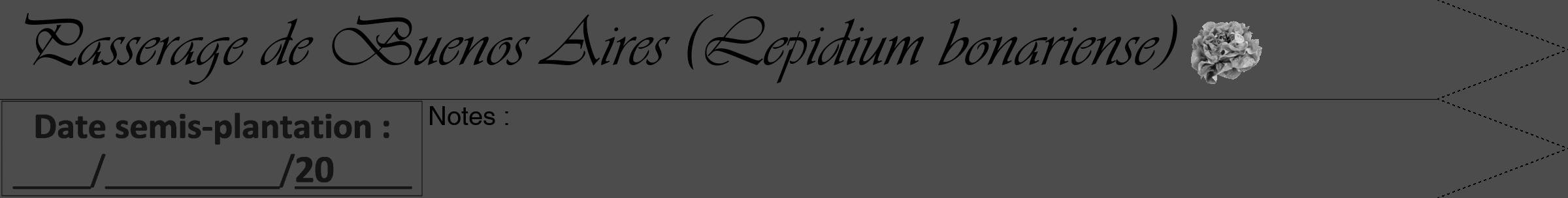 Étiquette de : Lepidium bonariense - format b - style noire27viv avec comestibilité simplifiée