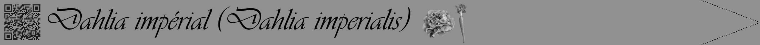 Étiquette de : Dahlia imperialis - format b - style noire4viv avec qrcode et comestibilité simplifiée