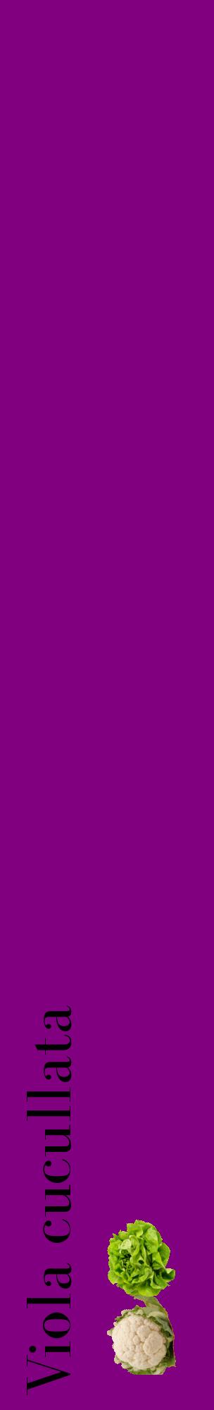 Étiquette de : Viola cucullata - format c - style noire46_basiquebod avec comestibilité simplifiée