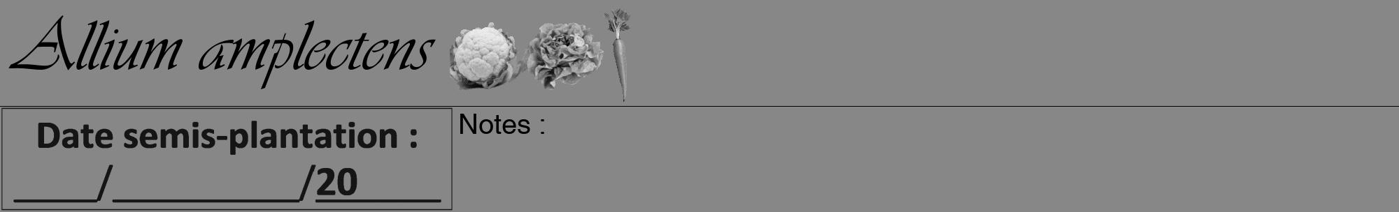 Étiquette de : Allium amplectens - format a - style noire12viv avec comestibilité simplifiée