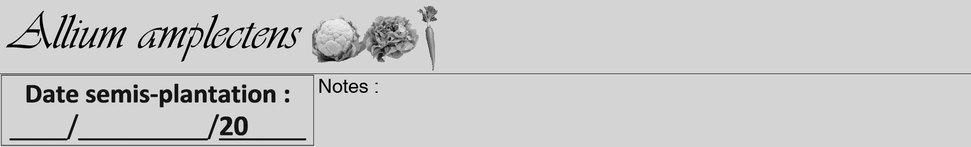 Étiquette de : Allium amplectens - format a - style noire40viv avec comestibilité simplifiée