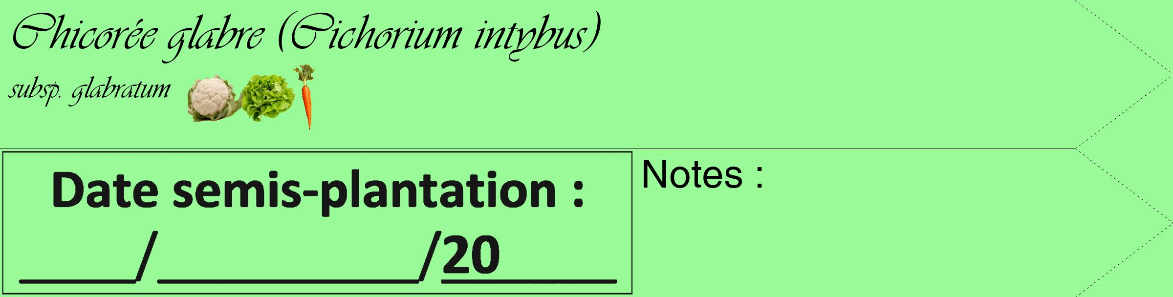Étiquette de : Cichorium intybus subsp. glabratum - format c - style noire14_simple_simpleviv avec comestibilité simplifiée