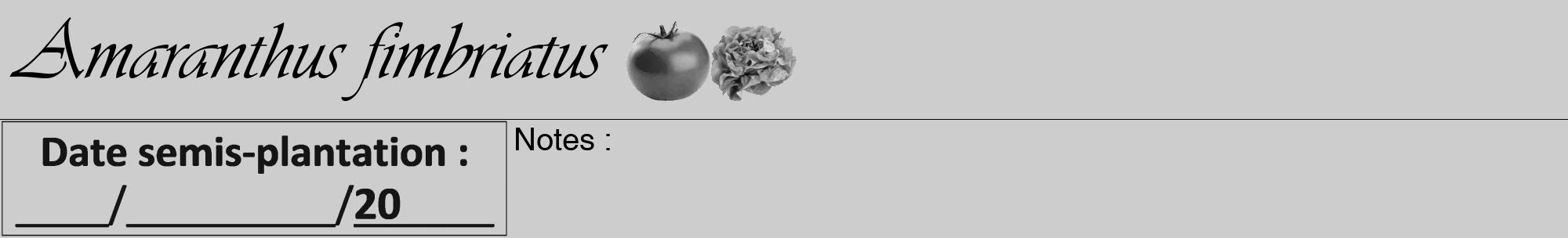Étiquette de : Amaranthus fimbriatus - format a - style noire41viv avec comestibilité simplifiée